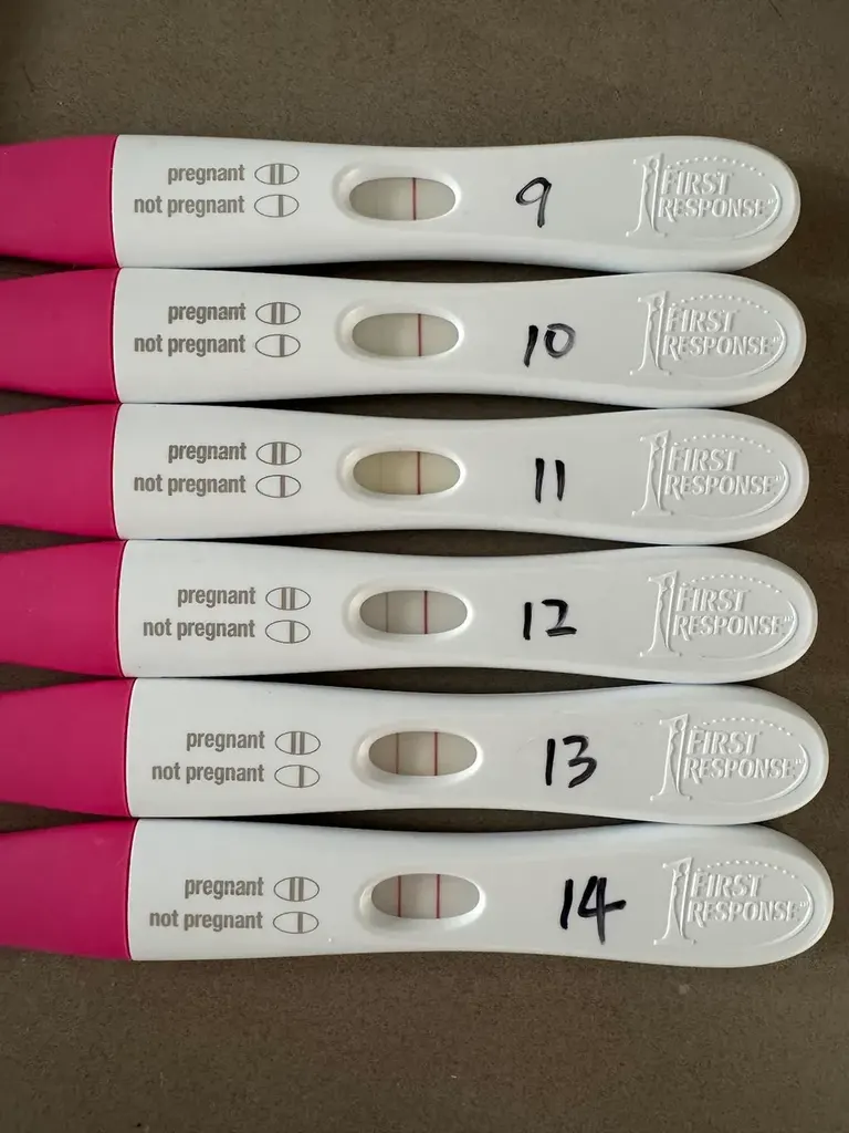 Adora Fertility Perth — photo 5