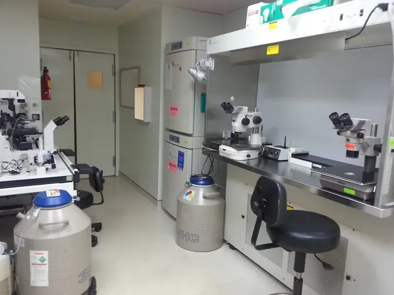 Clínica de Fertilidad GREFI (Gynecology Reproductive Endocrinology Fertility Institute) — photo 2
