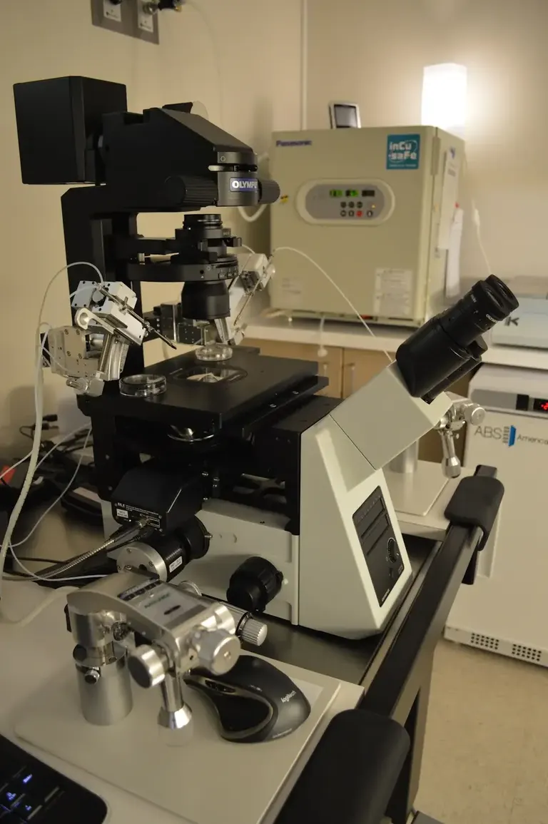 F.I.R.S.T. IVF &amp; Egg Bank/Minna Ruth Selub, M.D. — photo 2