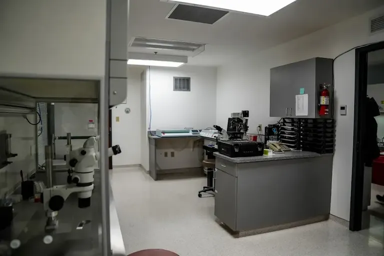 Fertility & Endocrine Associates — photo 2