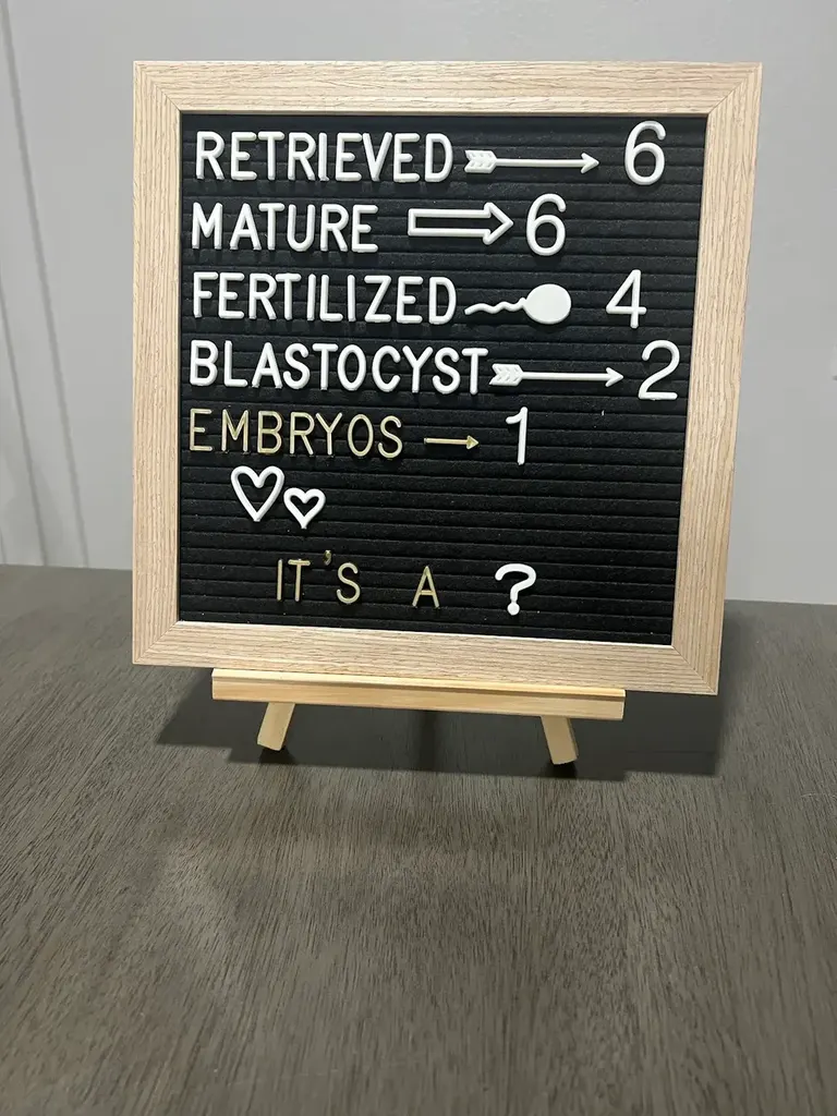 Pearl Mini-IVF — photo 5