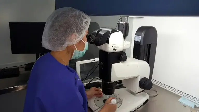 Takara IVF Bangkok คลินิกเฉพาะทางรักษาผู้มีบุตรยาก — photo 4