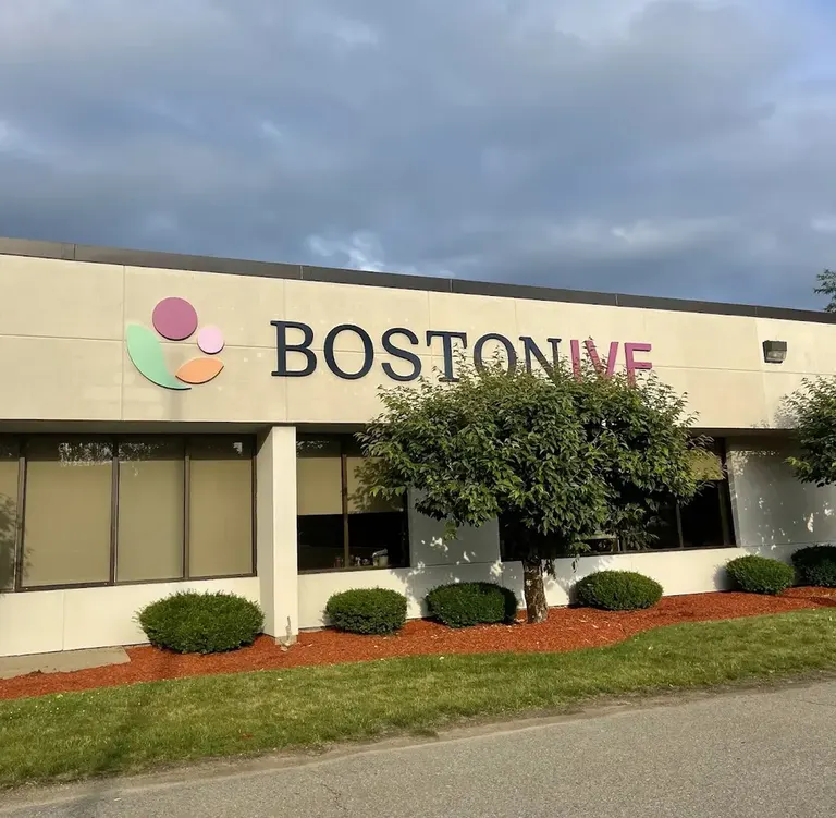 Boston IVF
