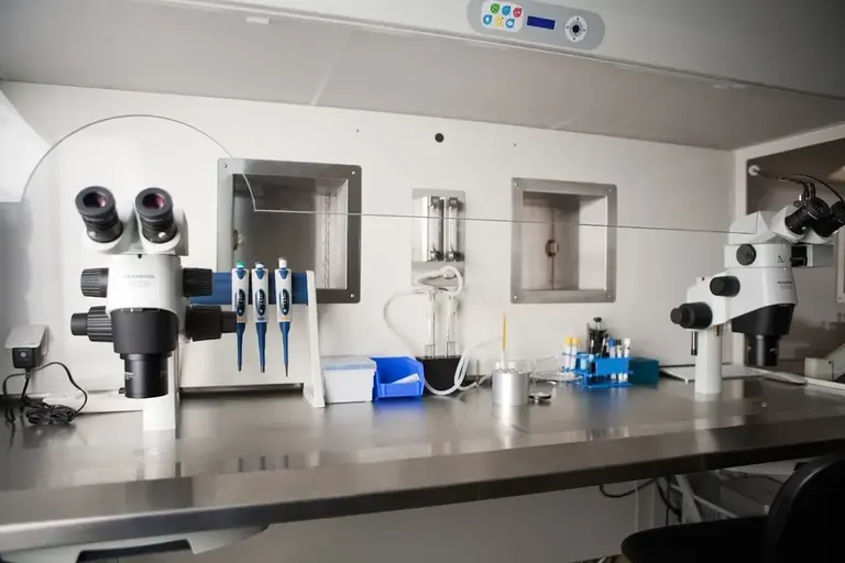 Boston IVF — photo 3