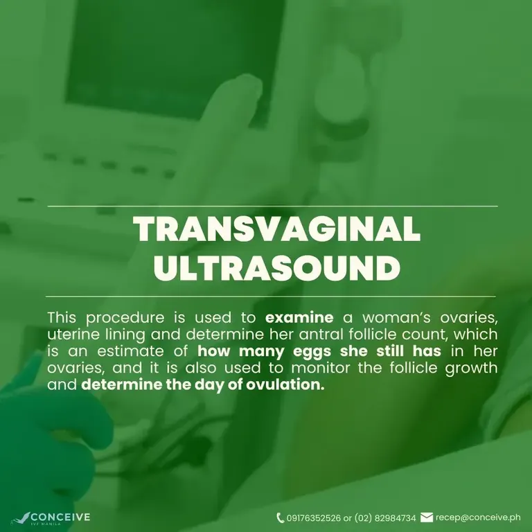 Conceive IVF Manila Inc. — photo 5
