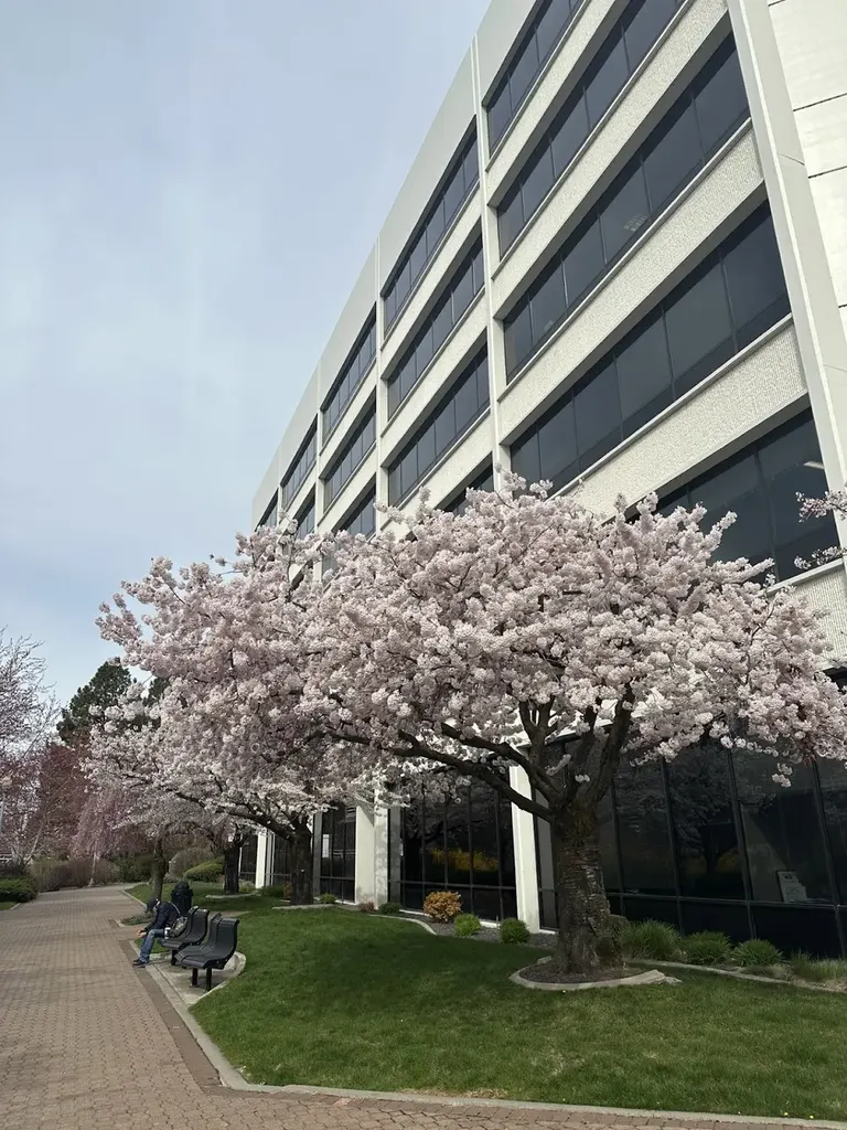 Center For Reproductive Health — photo 4