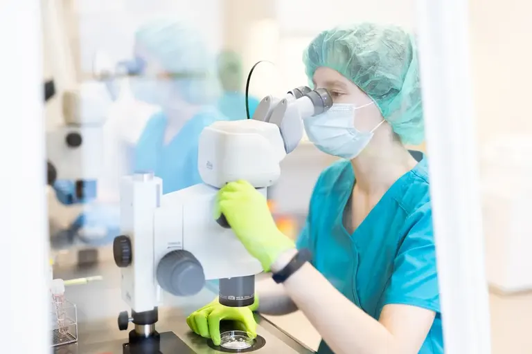 iVF Riga — photo 3