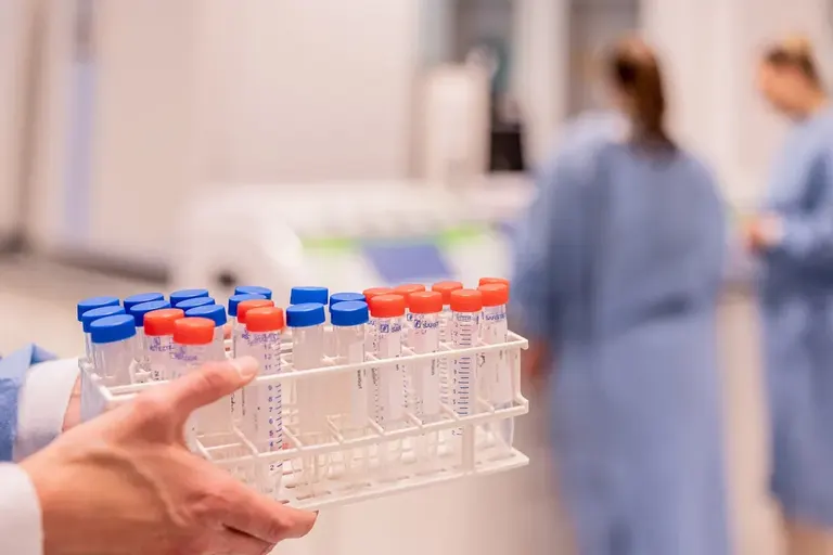 STERIGNOST Fertility Treatment GmbH — photo 4