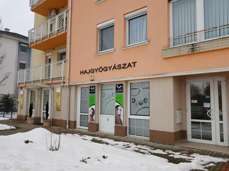 FIV la Szeged — photo 2