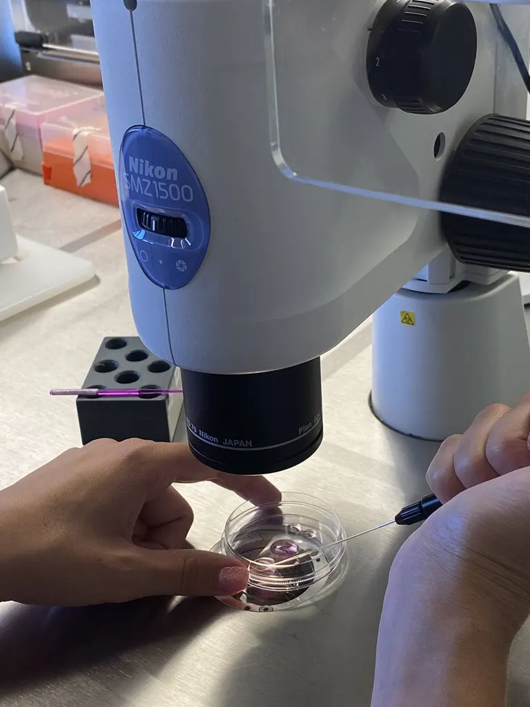 Κλινική Γονιμότητας | Fertility Clinic | Εξωσωματική Γονιμοποίηση και Δωρεά Ωαρίων — photo 3