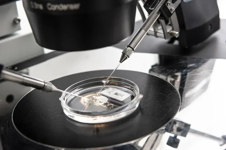 Sims IVF Clonskeagh — photo 5