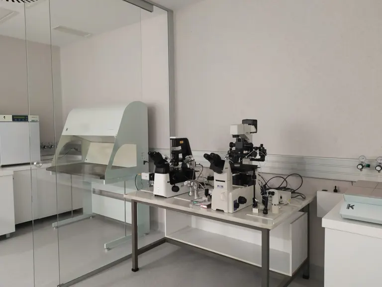 Ginemed Jerez — photo 2