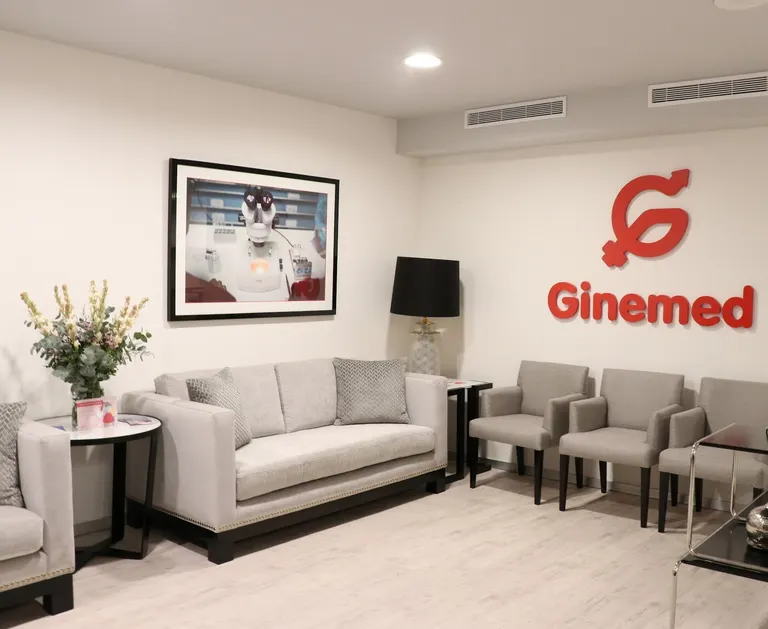 Ginemed Jerez — photo 5