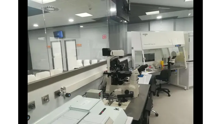 Ginemed Clinics Huelva — photo 1