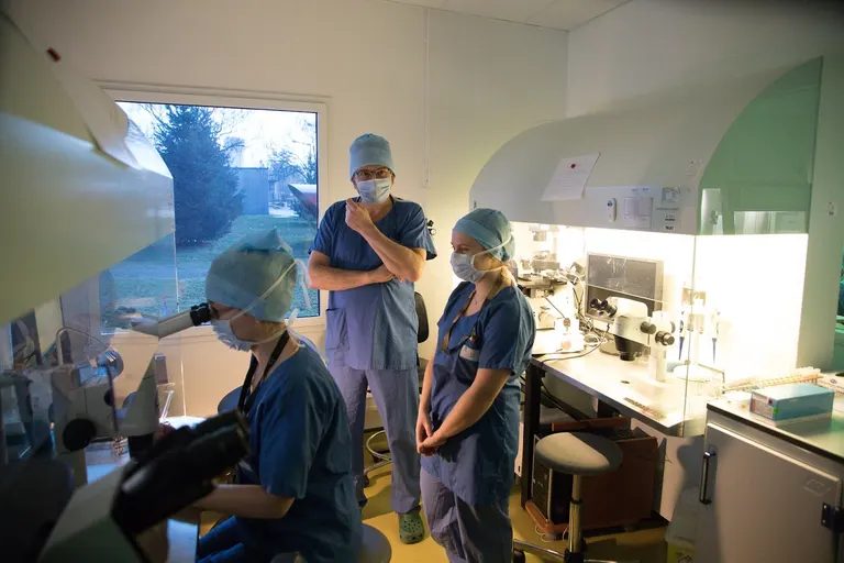 Service de médecine et de la reproduction - HCL — photo 2