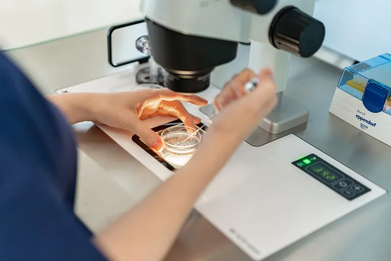 Fertiliamed GmbH — photo 4