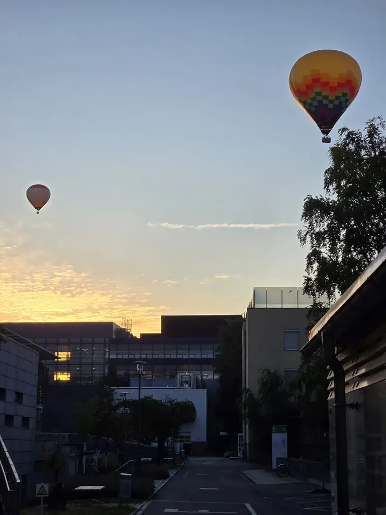 Universitätsklinikum - Frauenklinik - Kinderwunschzentrum und Hormonsprechstunde