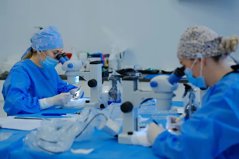 Wazektomia Katowice - Zięba Clinic — photo 1