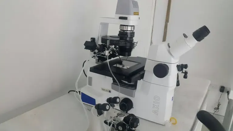 Euro ivf Kıbrıs Tüp Bebek Merkezi — photo 5