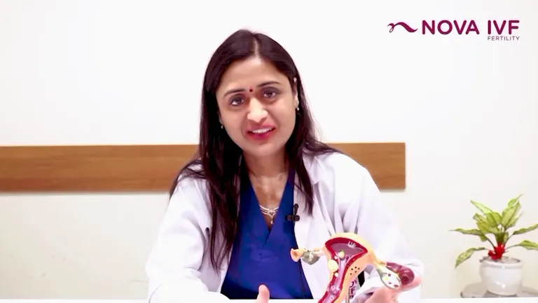 Nova IVF Fertility Center - Best IVF Center in Chandigarh — photo 2
