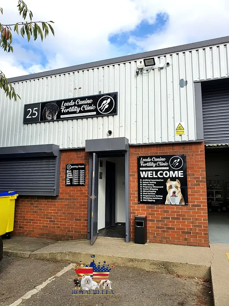 Leeds Canine Fertility Clinic — photo 5