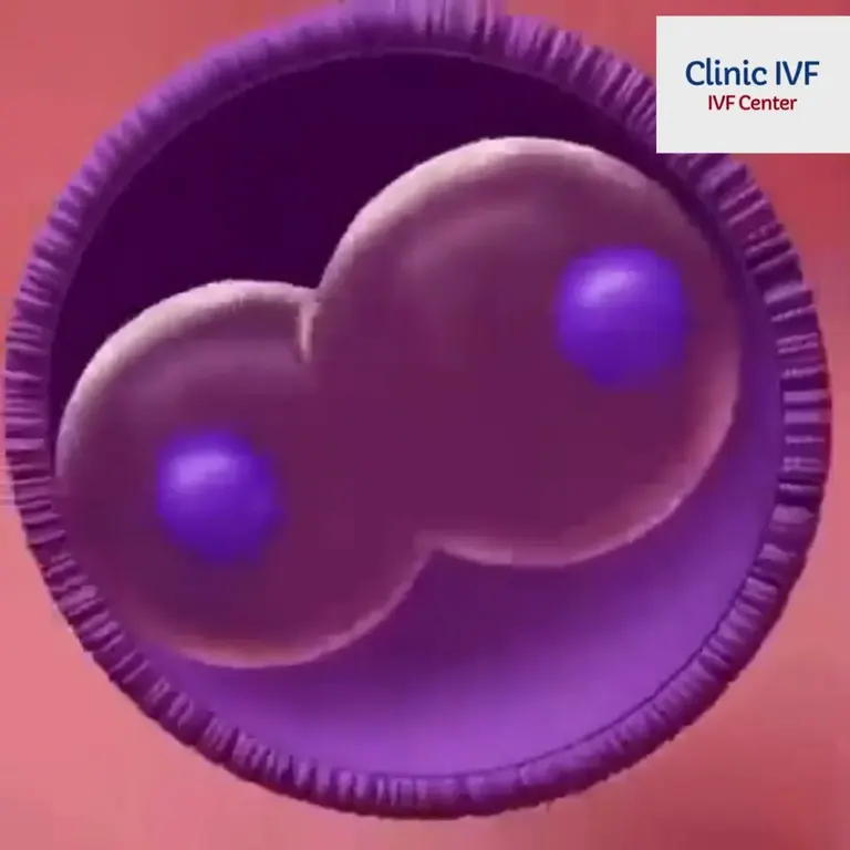 Clinic IVF Tüp Bebek Merkezi — photo 5