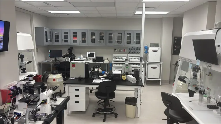 Pinnacle Fertility — photo 3