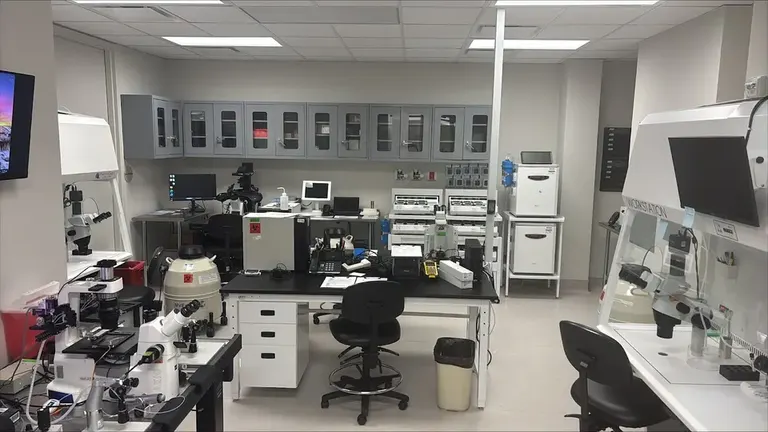 Pinnacle Fertility — photo 3