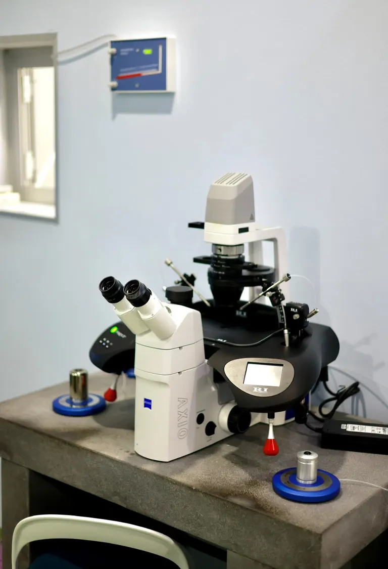 IVF Georgia
