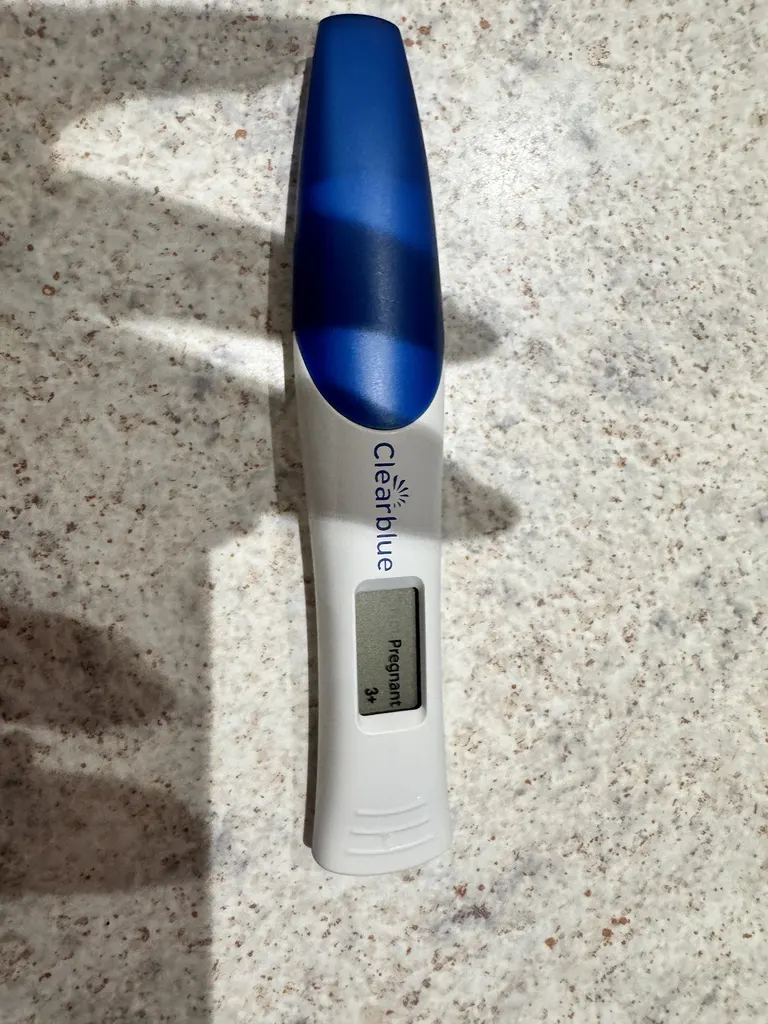 P4 Fertility