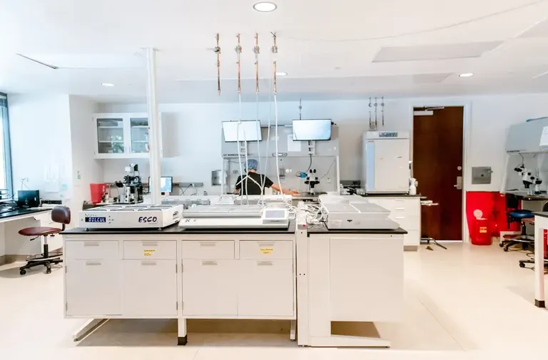 Reproductive Biology Associates — photo 4