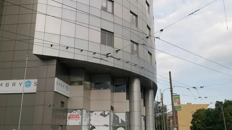 Embryos — photo 2