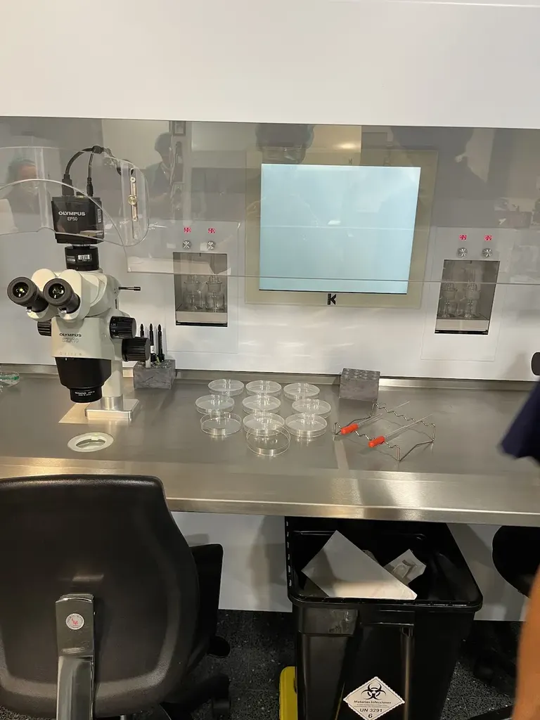 Fertility Barcelona Hospital QuirónSalud Barcelona