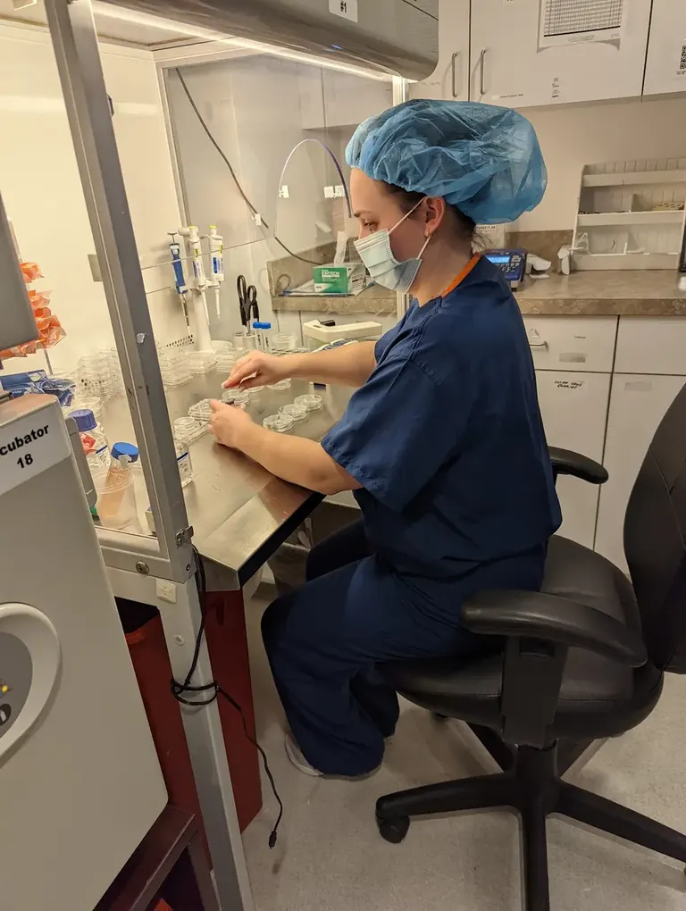 Reproductive Medicine Associates of Michigan (RMA of Michigan) — photo 4