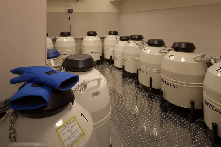 Reproductive Science Center in San Ramon, CA — photo 3