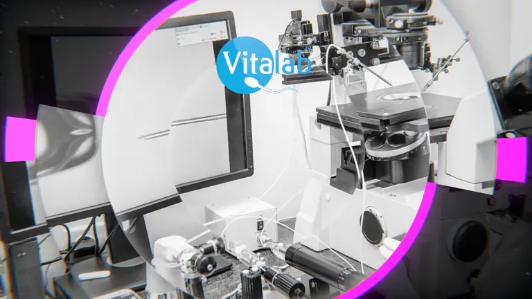 Vitalab Fertility Clinic - Sandton — photo 5