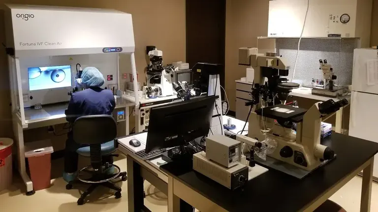 HART Fertility Clinic - The Woodlands — photo 1
