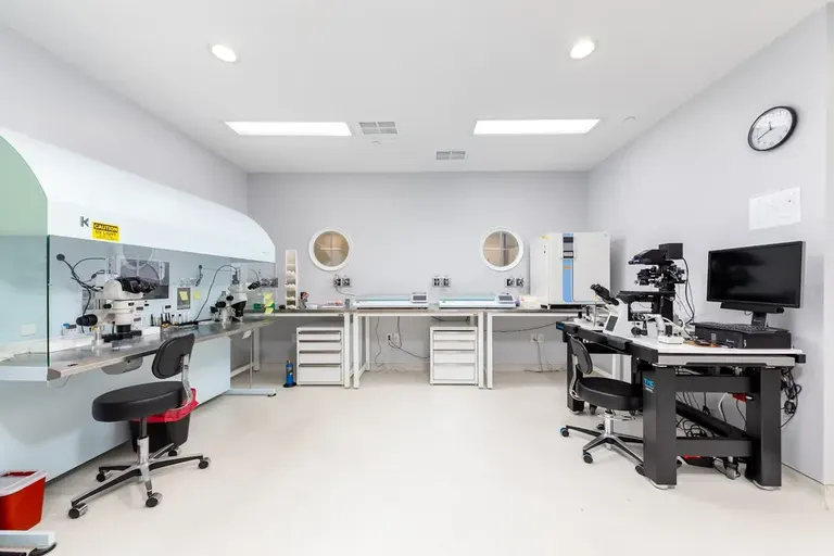 AFMC Fertility Medical Center IVF — photo 4