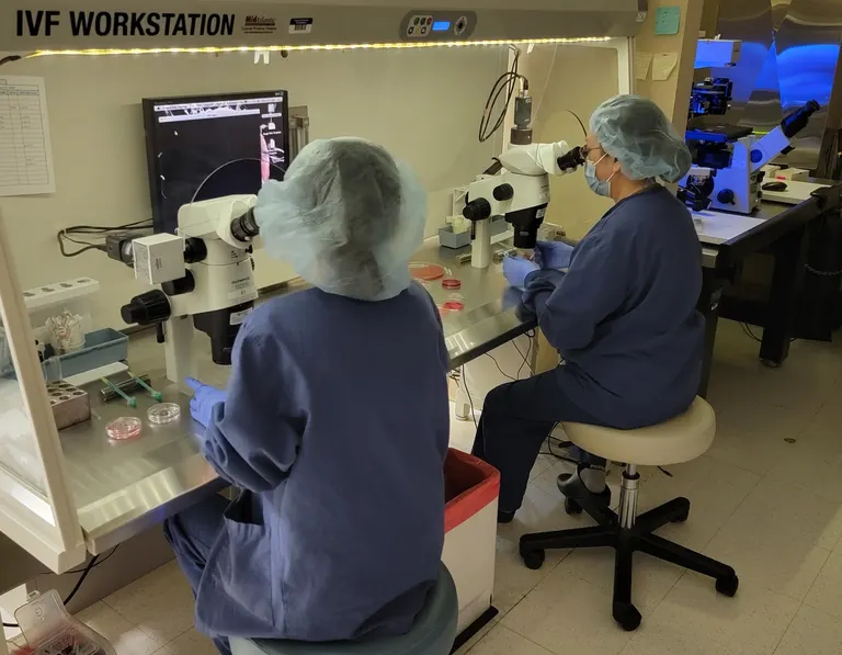 New England Fertility Institute — photo 2