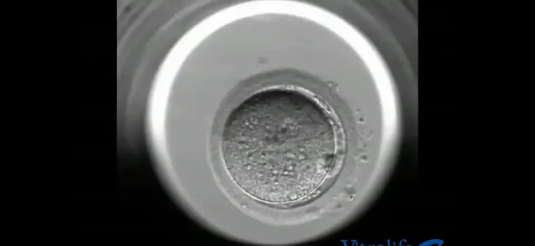 Complete Fertility Centre — photo 3