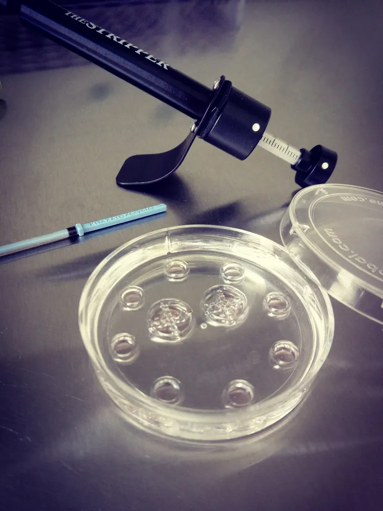 IN VITRO CLINIC AND ASSISTED REPRODUCTION BORA — photo 4