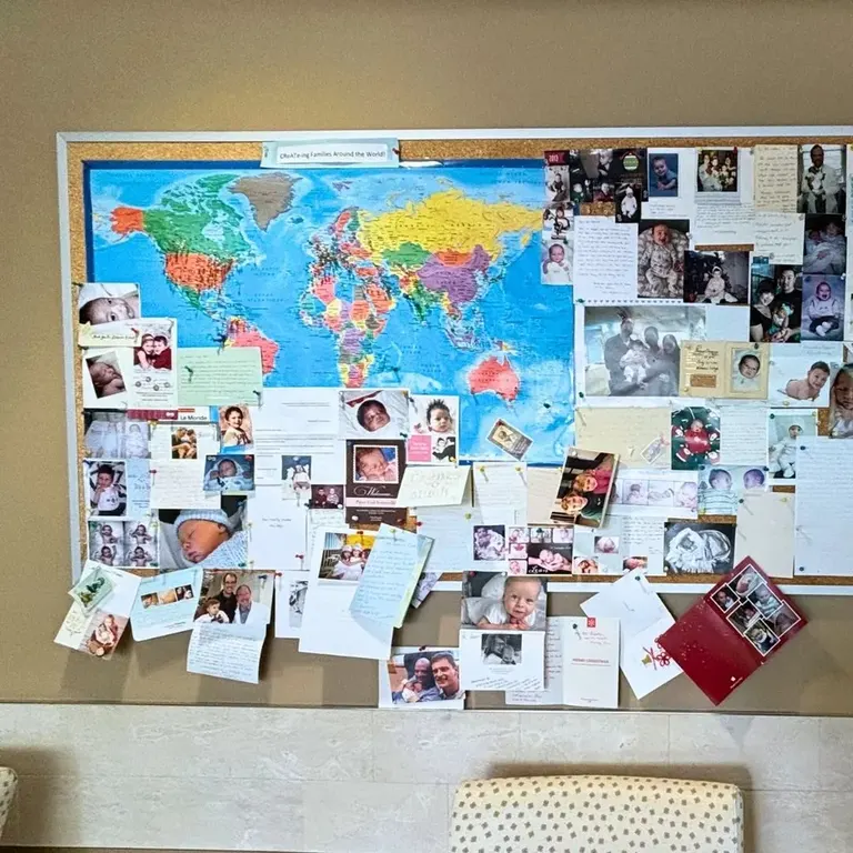 CReATe Fertility Centre — photo 3