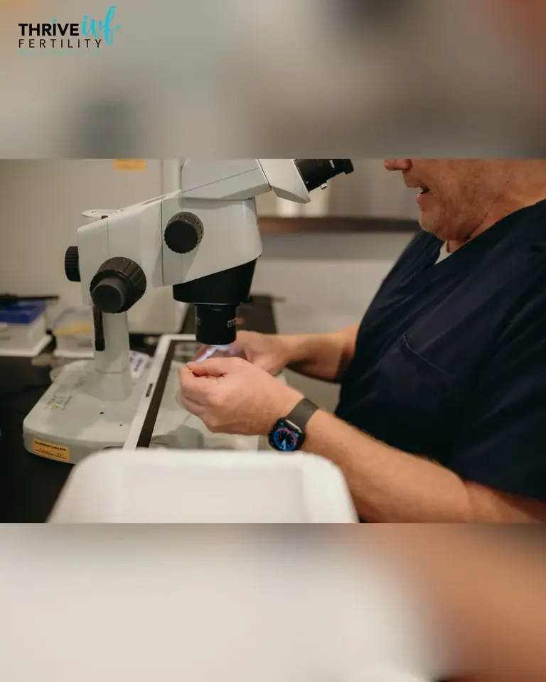 Thrive IVF | Shaurin Patel, MD — photo 2