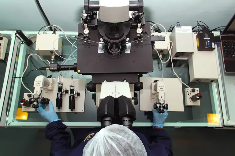 Nascer Medicina Reprodutiva — photo 3