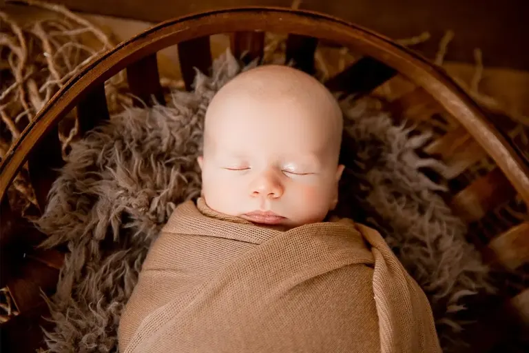 Brown Fertility — photo 2