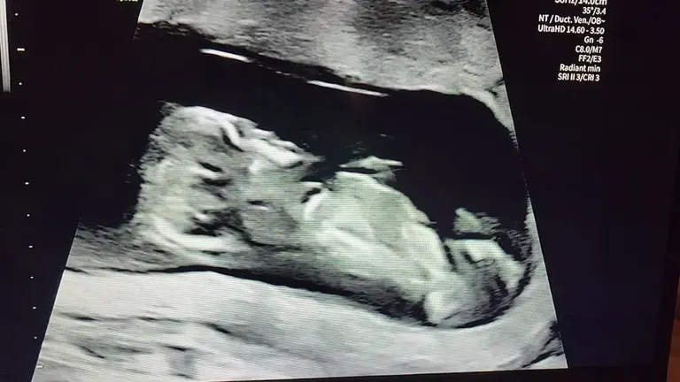 ORM Fertility - Downtown — photo 3