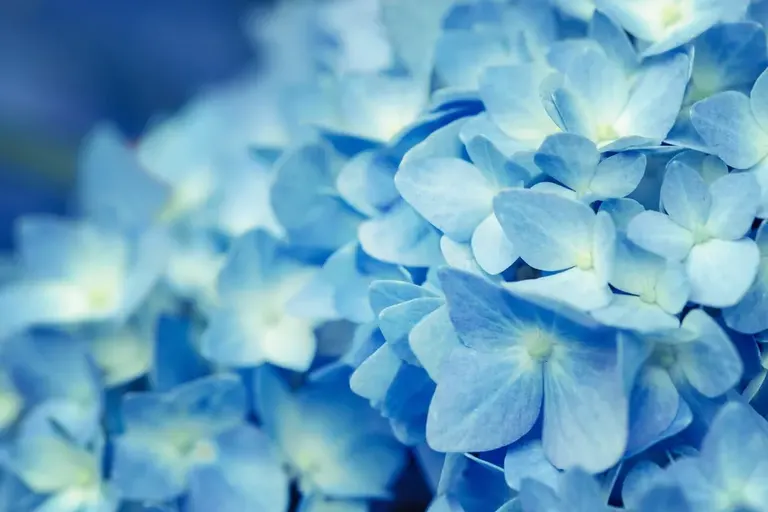 Spring Fertility
