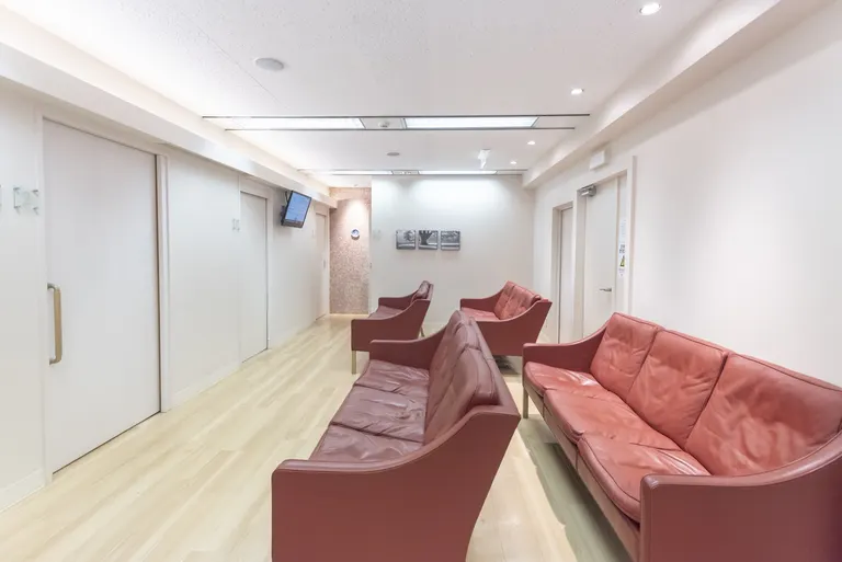 銀座レディースクリニック — photo 2